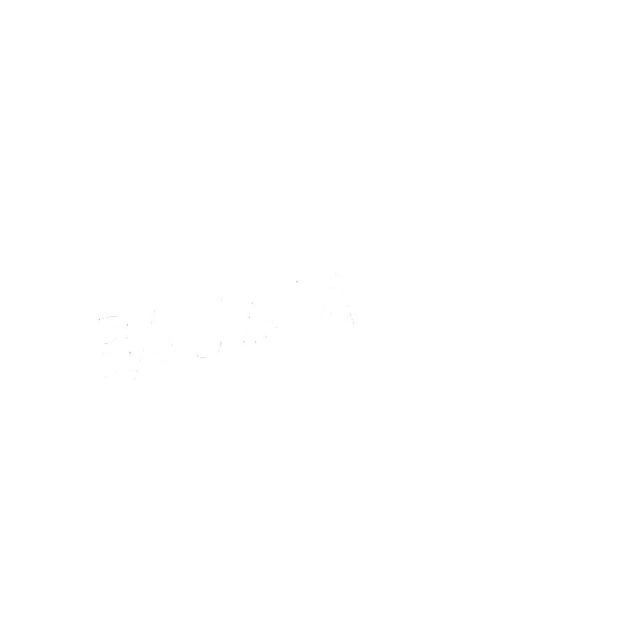 white baumasterlogo